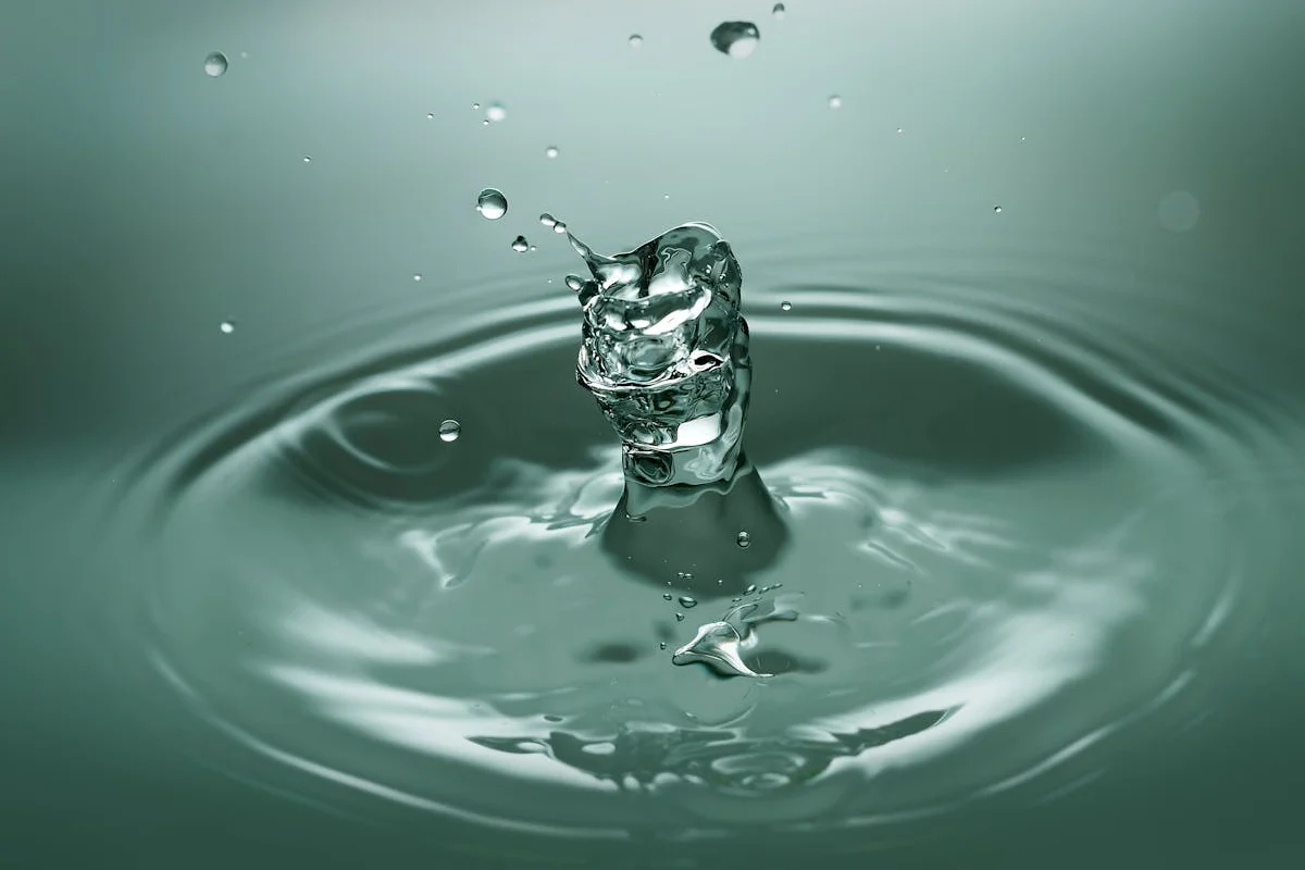 Transparencis y subvenciones Digital Twins